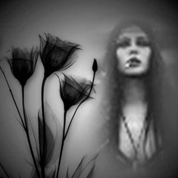 Meet your Posher, Susan - Picture 4 of 8